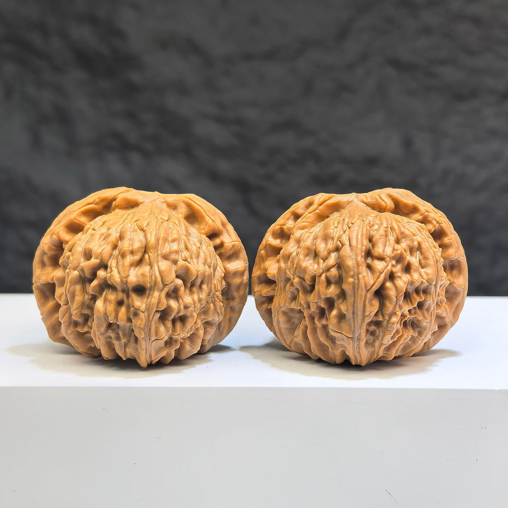 Pair of Low-pointed White Lion Wenwan walnuts by Wenwan Art, featuring 41mm x 38mm classic Wenwan walnut carvings.
