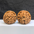 Pair of Wenwan Art Tri-Angular Concave Base Nanjiangstone deep-base walnuts, 40mm, showcasing smooth, polished surfaces and unique shape.