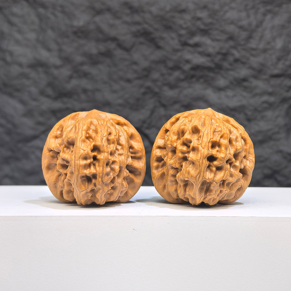 Pair of authentic Wild Wolf Wenwan walnuts from Wenwan Art, 37mm x 39mm, showcasing natural walnut features and craftsmanship