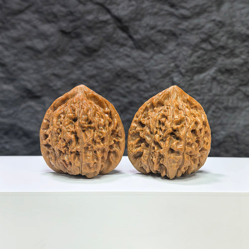 Pair of Kylin Texture Wenwan Walnuts by Wenwan Art, featuring intricate 麒麟紋 pattern, measuring 40mm x 37mm.