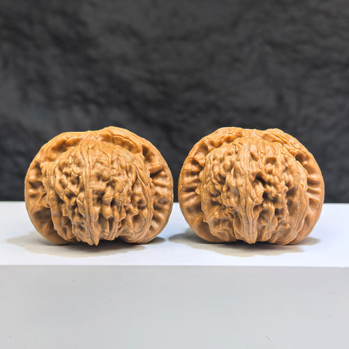 Pair of Low-pointed White Lion Wenwan Walnuts from Wenwan Art, 41mm x 38mm, featuring detailed carved white lion designs.