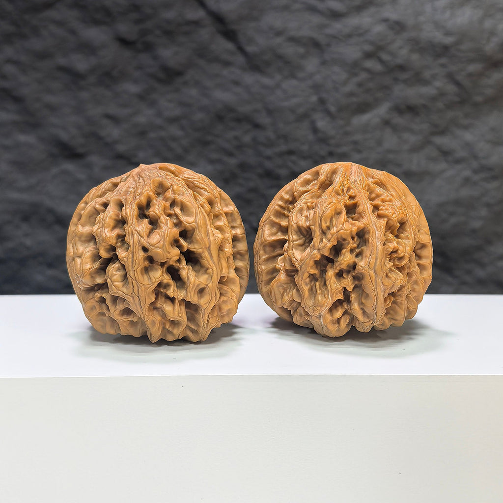 【精選級】大粗筋 文玩核桃 (4.6 × 4.6cm) | [Selected Grade] Large Thick Rib Walnut (4.6 × 4.6cm) - SKU: DCJ-1S9