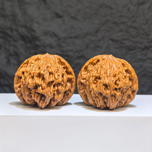 Pair of ZenWenwan Classic Scholar Hand-Matched Wenwan Walnuts, 47mm x 44mm, featuring detailed lion and tiger carvings.