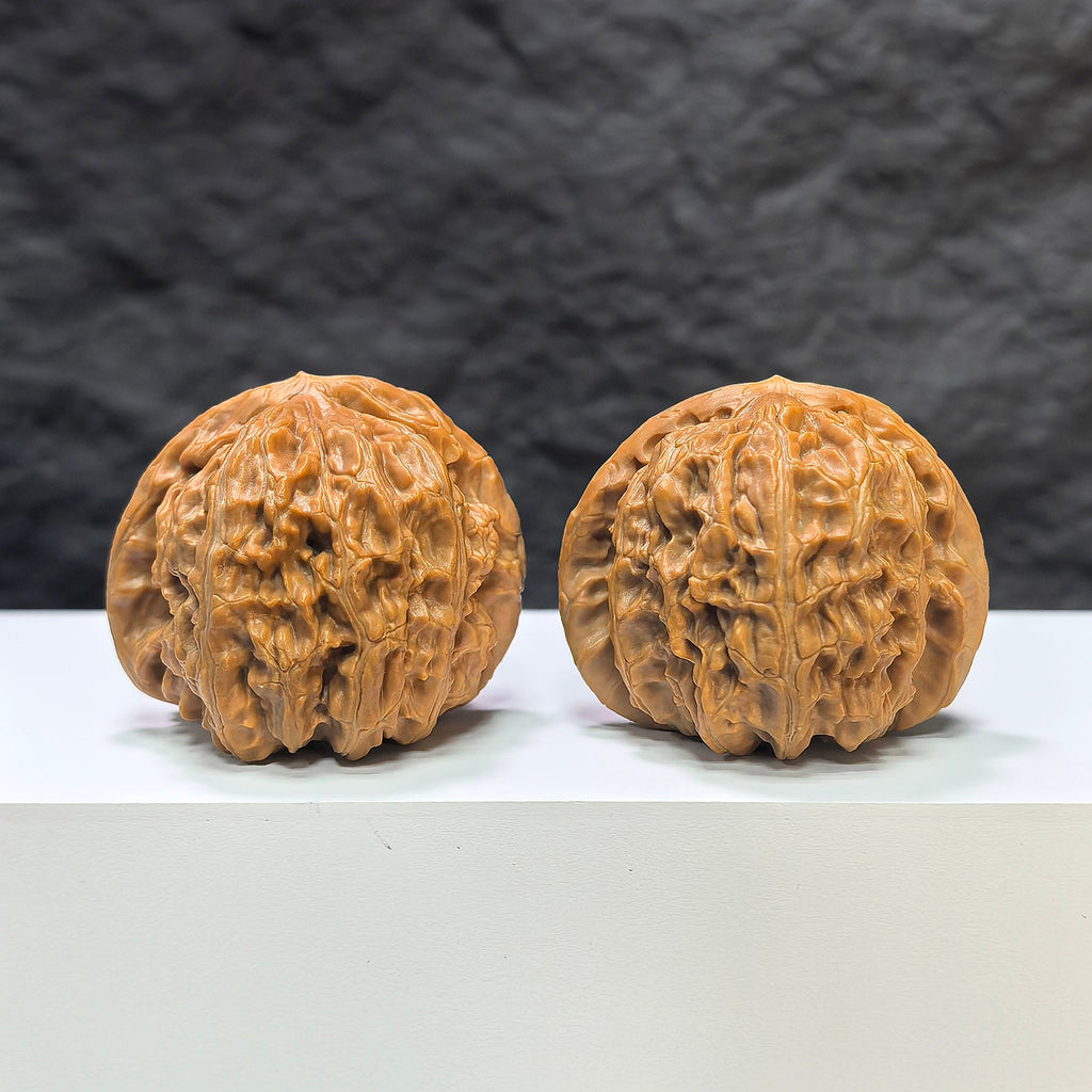 【收藏級】三角白獅子 文玩核桃 (4.4 × 4.3cm) | [Collector's Grade] Tri-Angular White Lion Walnut (4.4 × 4.3cm) - SKU: BSZ-1A2