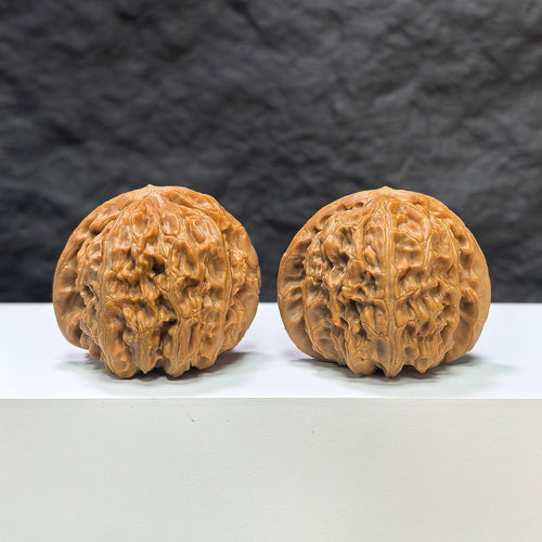 【收藏級】三角白獅子 文玩核桃 (4.4 × 4.3cm) | [Collector's Grade] Tri-Angular White Lion Walnut (4.4 × 4.3cm) - SKU: BSZ-1A2
