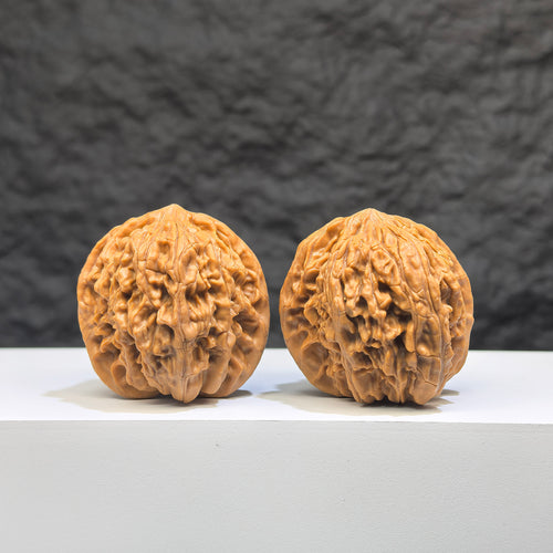 Pair of Wenwan Art Millstone Wenwan walnuts, 38mm x 37mm, featuring intricate carvings and natural wood grain.