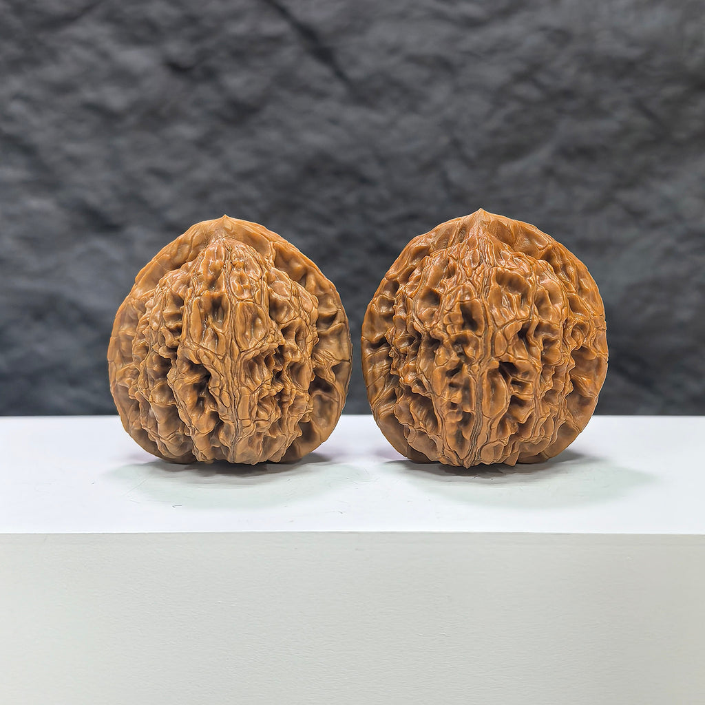 Pair of Water Dragon Texture Wenwan Walnuts by Wenwan Art, 40mm x 39mm, showcasing intricate carved water dragon patterns.