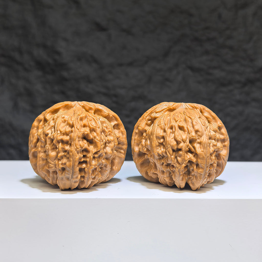 【收藏級】球形白獅子 文玩核桃 (4.3 × 4.2cm) | [Collector's Grade] Spherical White Lion Walnut (4.3 × 4.2cm) - SKU: QXBSZ-1Z2