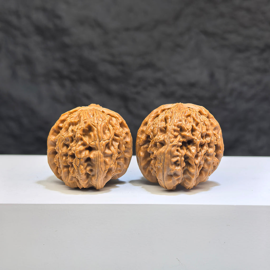 Pair of Pocket White Lion Wenwan Walnuts, miniature 32mm x 34mm carved walnuts by Wenwan Art, detailed white lion figures.