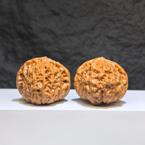 Pair of ZenWenwan Classic Scholar Wenwan walnuts, hand-matched, 42x44mm, showcasing detailed natural wood grain and smooth polished surfaces.