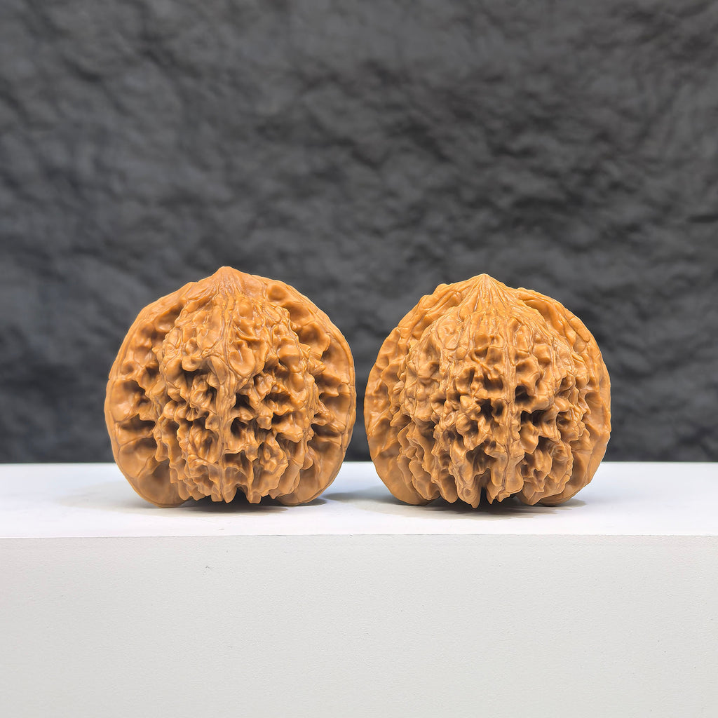 Pair of Babys Breath Full Stars Wenwan walnuts from Wenwan Art, featuring intricate star patterns and smooth 38mm size.