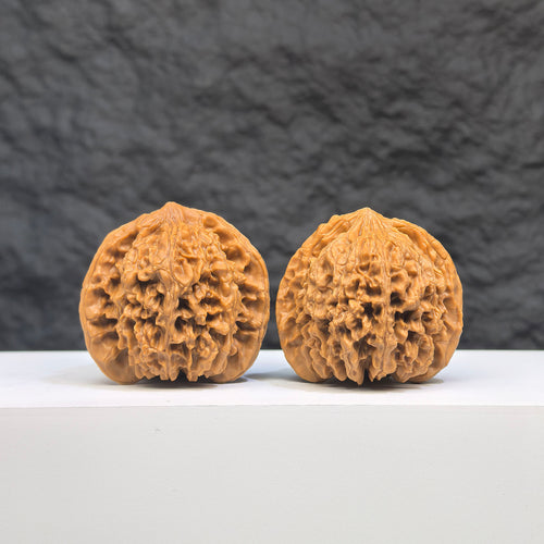 Pair of Babys Breath Full Stars Wenwan walnuts from Wenwan Art, featuring intricate star patterns and smooth 38mm size.
