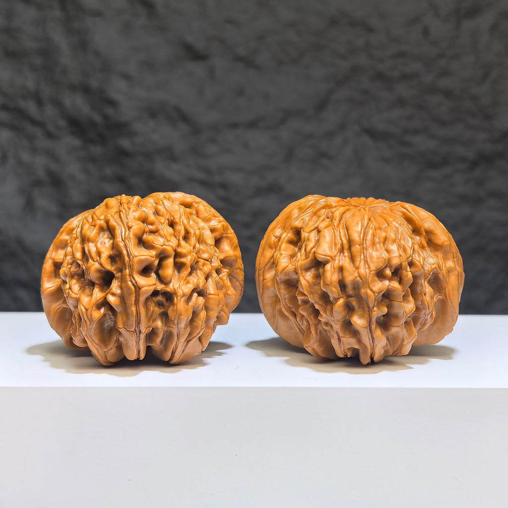 【收藏級】華坤龍 文玩核桃 (4.8 × 4.9cm) | [Collector's Grade] Huakun Dragon Walnut (4.8 × 4.9cm) - SKU: HKL-1Z1