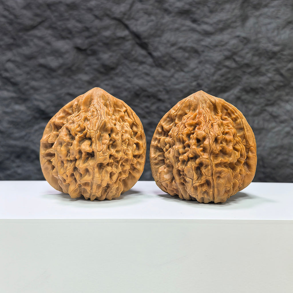 Pair of large Wenwan Art official Wenwan walnuts, 48mm x 45mm, showcasing smooth, polished walnut shells with intricate patterns.