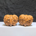 Pair of Pinggu Sycee Yuanbao-shaped Wenwan walnuts from Wenwan Art, 39mm x 46mm, showcasing detailed carved ingot design.