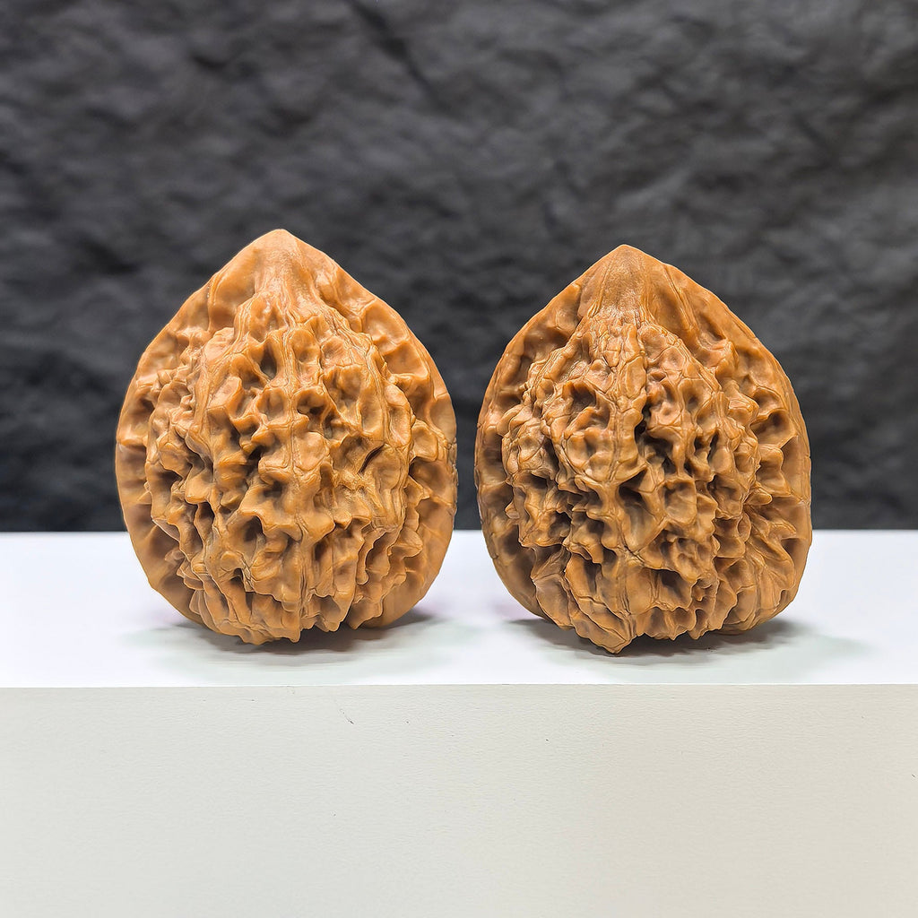 【收藏級】麒麟紋 文玩核桃 (4.3 × 4.0cm) | [Collector's Grade] Kylin Texture Walnut (4.3 × 4.0cm) - SKU: QLW-1A6