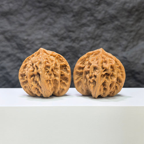 【收藏級】盤龍虎頭 × 霞雲嶺 文玩核桃 (4.3 × 4.0cm) | [Collector's Grade] Panlong Tiger Head x Xiayunling Walnut (4.3 × 4.0cm) - SKU: PLHTXLYL-1C3