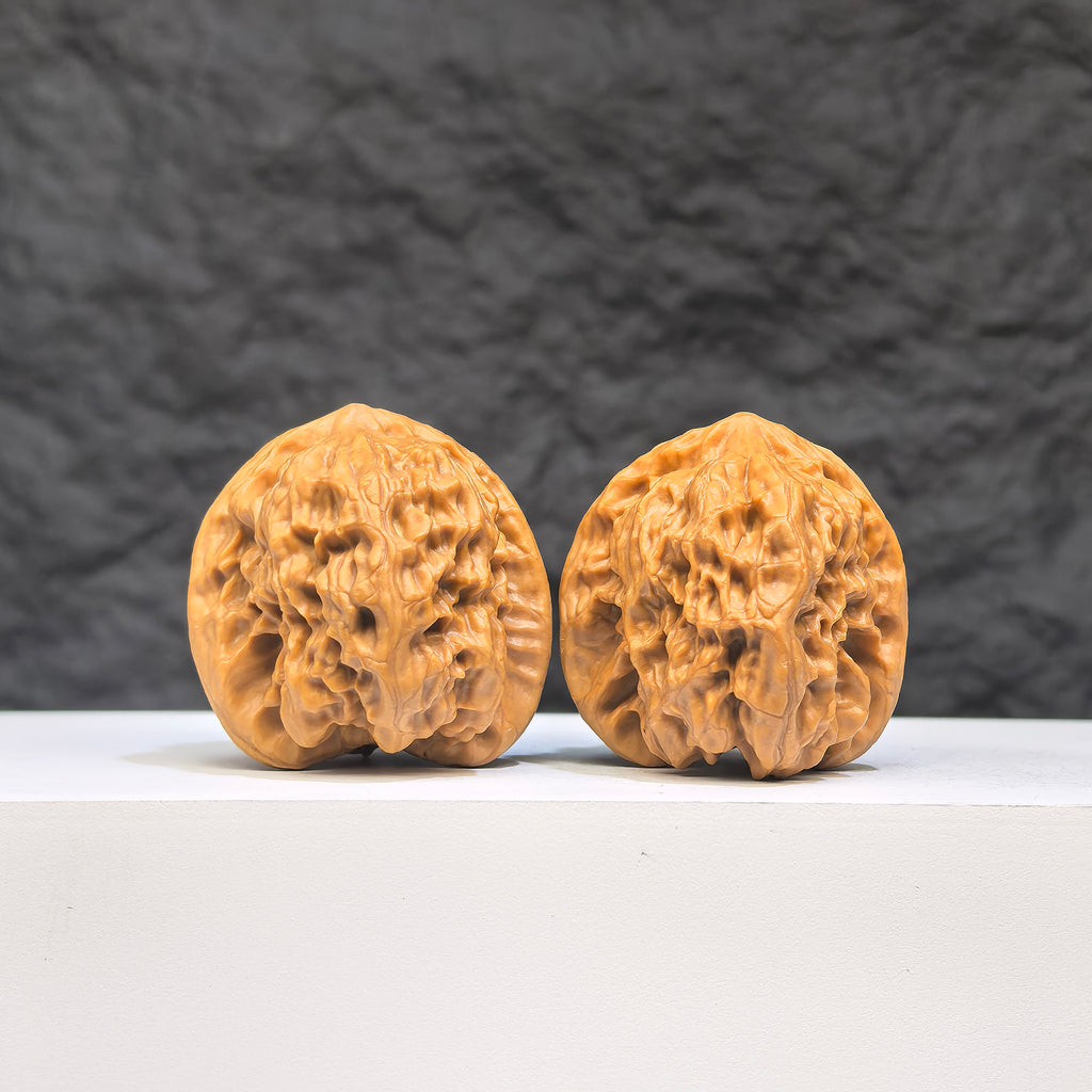 Pair of Wild Wolf Wenwan Walnuts from Wenwan Art, authentic wild walnuts, approximately 33mm by 36mm, natural brown color.