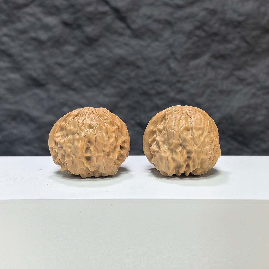Pair of Golden Toad Vessel Wenwan walnuts by Wenwan Art, featuring detailed carvings and a smooth polished surface.