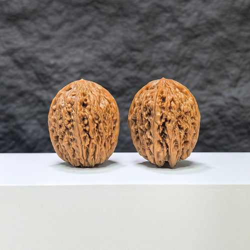 Pair of Classic Scholar Wenwan Walnut carvings by Wenwan Art, 34mm x 37mm, featuring intricate 觀音瓶 designs.
