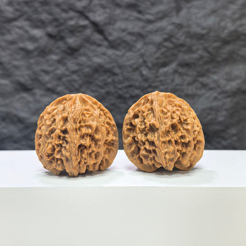Pair of Wenwan Art Apple Garden Peach Heart Concave Base walnuts, 40mm x 37mm, showing detailed walnut surface and natural wooden texture.