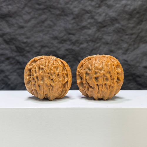 【收藏級】甲骨文 文玩核桃 (4.0 × 3.8cm) | [Collector's Grade] Oracle Bone Script Walnut (4.0 × 3.8cm) - SKU: JGW-1B1