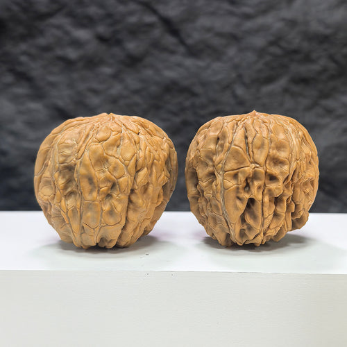 Pair of Classic Scholar Wenwan walnuts from Wenwan Art, hand-matched, 44mm x 46mm, featuring detailed natural walnut textures.
