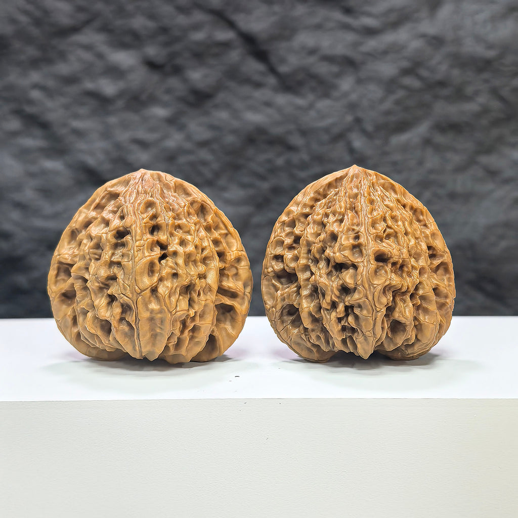 Pair of Classic Scholar Wenwan Walnuts by Wenwan Art, hand-matched with 桃心虎頭王 design, measuring 44mm x 42mm.