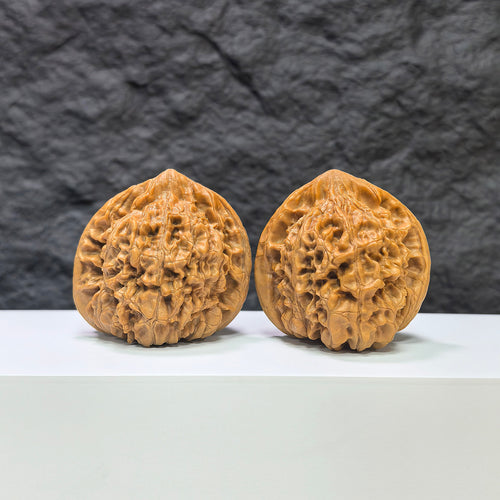 Pair of large Wenwan Art official Wenwan walnuts, 47mm x 42mm, showcasing smooth, polished walnut shells in natural tones.