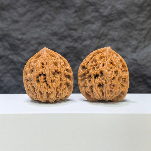 【收藏級】水龍紋 文玩核桃 (3.9 × 4.0cm) | [Collector's Grade] Water Dragon Texture Walnut (3.9 × 4.0cm) - SKU: SLW-1B6