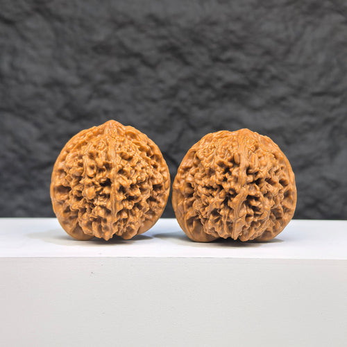 Pair of Babys Breath Wenwan Walnuts with full star patterns, 38mm x 37mm, from Wenwan Art, showcasing intricate carved designs.