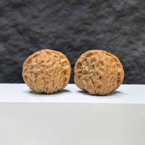 【收藏級】凹底南瓜墩 文玩核桃 (3.9 × 4.0cm) | [Collector's Grade] Concave Base Pumpkin Pier Walnut (3.9 × 4.0cm) - SKU: NGD-1B9
