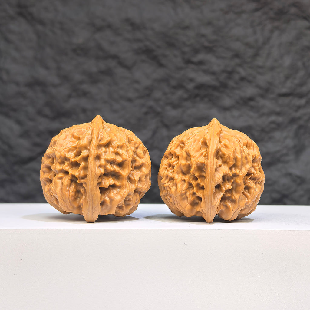 Authentic Wild Wenwan Walnut pair from Wenwan Art, featuring natural wood grain and size 33.0mm x 36.0mm, Wild Wolf design.