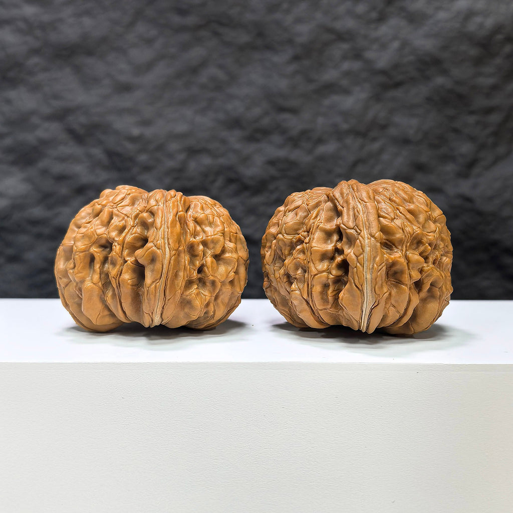 【收藏級】华坤龙 文玩核桃 (4.9 × 4.7cm) | [Collector's Grade] Huakun Dragon Walnut (4.9 × 4.7cm) - SKU: HKL-1B4