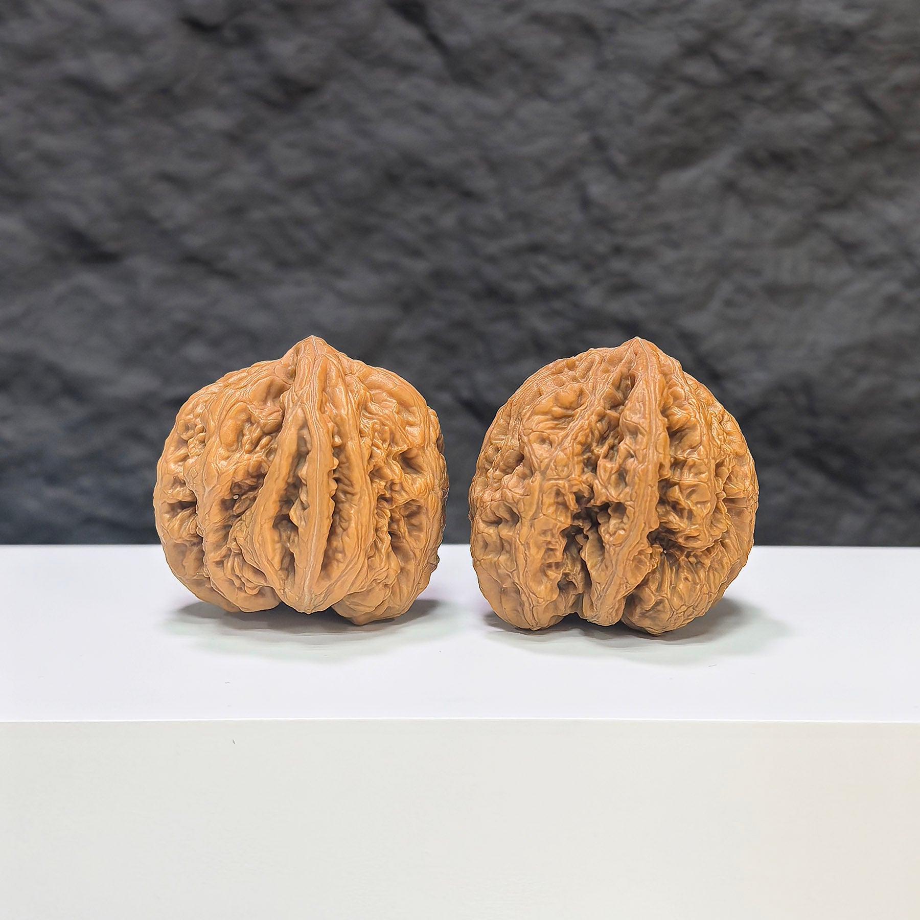 【精選級】粗筋 文玩核桃 (3.6 × 3.6cm) | [Selected Grade] Thick Rib Walnut (3.6 × 3.6cm) - SKU: CJ-1S8