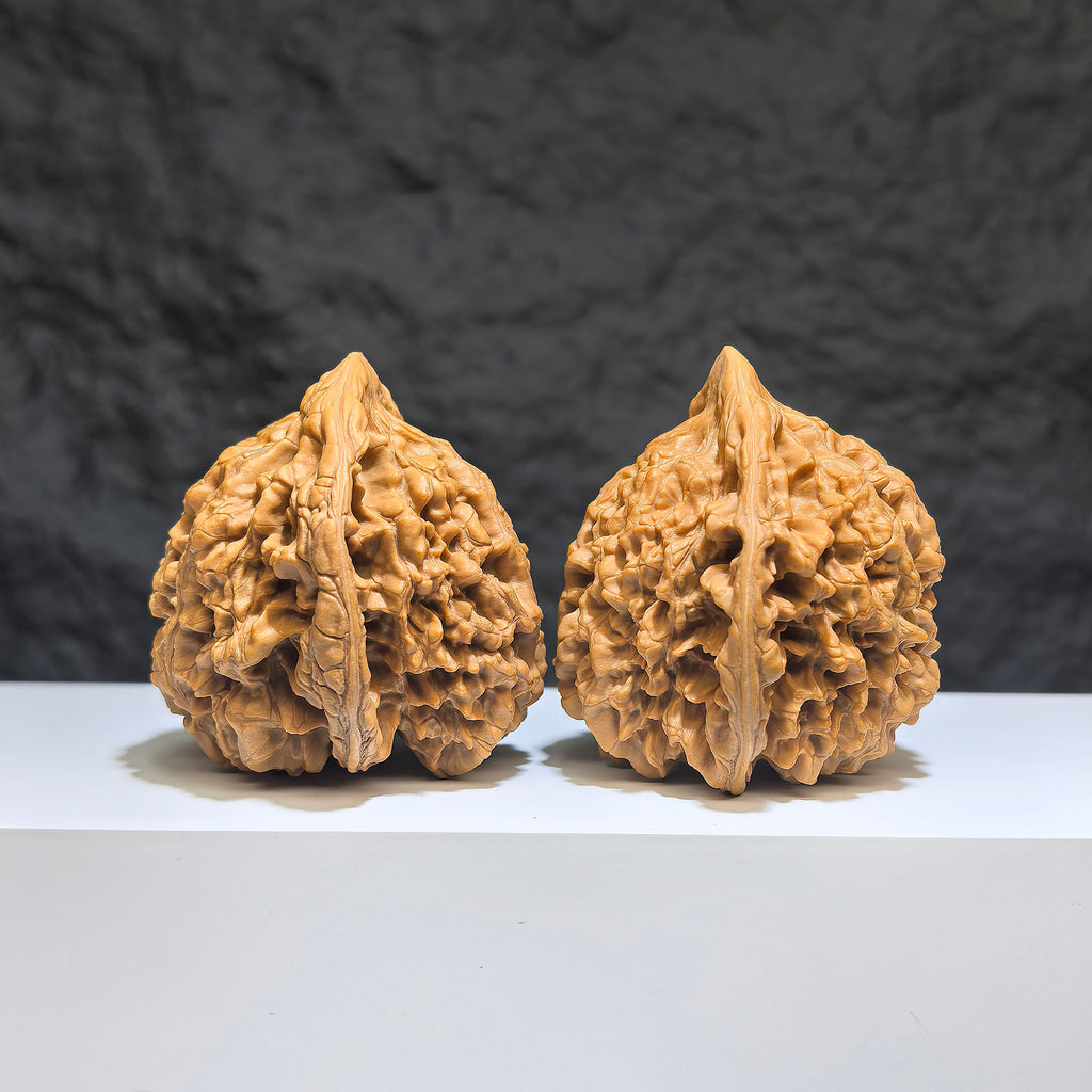 Pair of large Wenwan Art official Wenwan walnuts, 49mm x 46mm, showcasing smooth, polished walnut shells with natural markings.