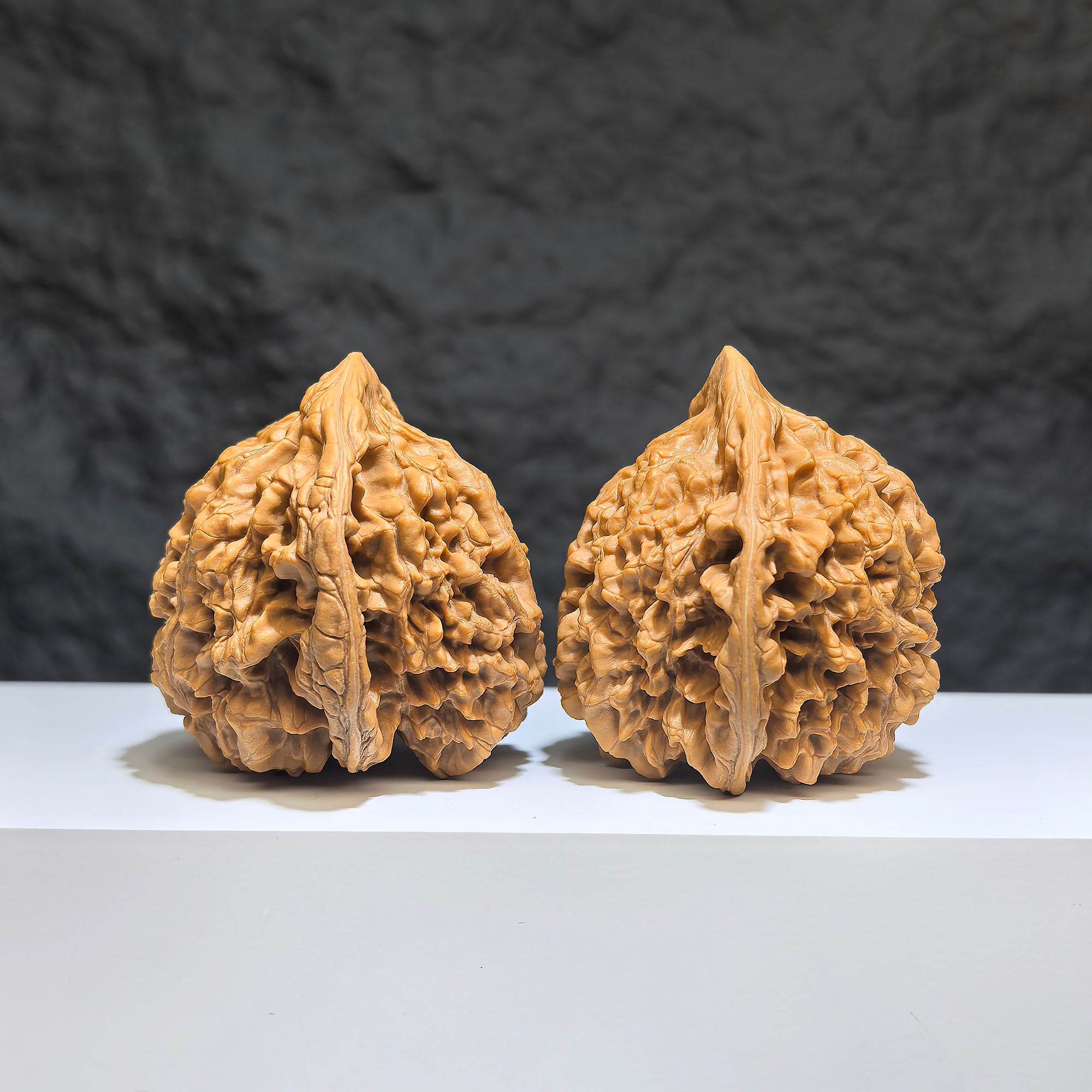Pair of large Wenwan Art official Wenwan walnuts, 49mm x 46mm, showcasing smooth, polished walnut shells with natural markings.