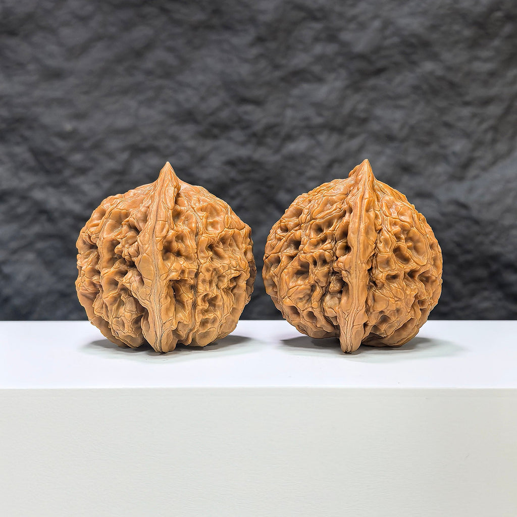 【收藏級】水龍紋 文玩核桃 (3.9 × 4.0cm) | [Collector's Grade] Water Dragon Texture Walnut (3.9 × 4.0cm) - SKU: SLW-1B6