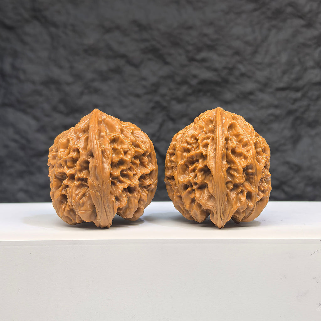 Selected grade Wild Bison Wenwan Walnut, 3.8cm, from Wenwan Art, showing detailed natural wood grain and smooth polished surface.
