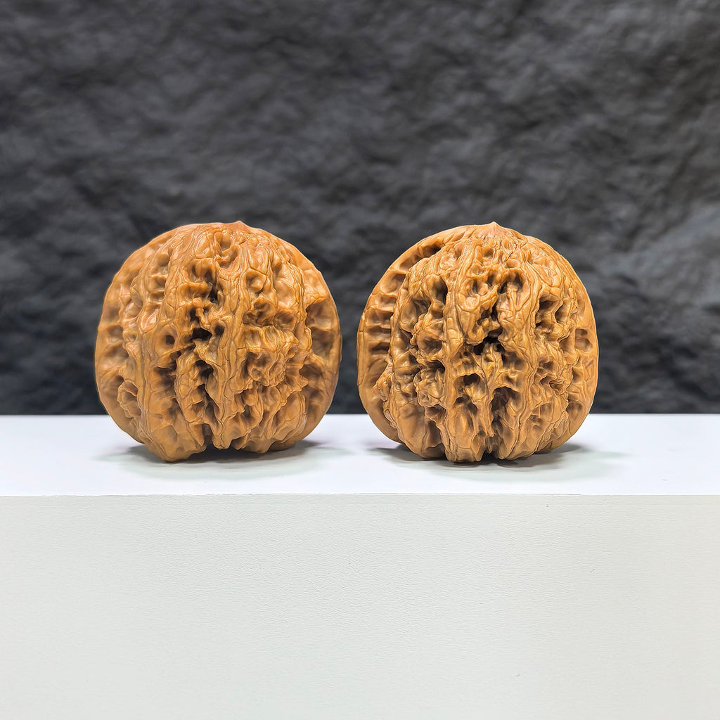 【收藏級】華北將軍嶺 文玩核桃 (4.6 × 4.6cm) | [Collector's Grade] North China General Ridge Walnut (4.6 × 4.6cm) - SKU: HBJSL-1C8