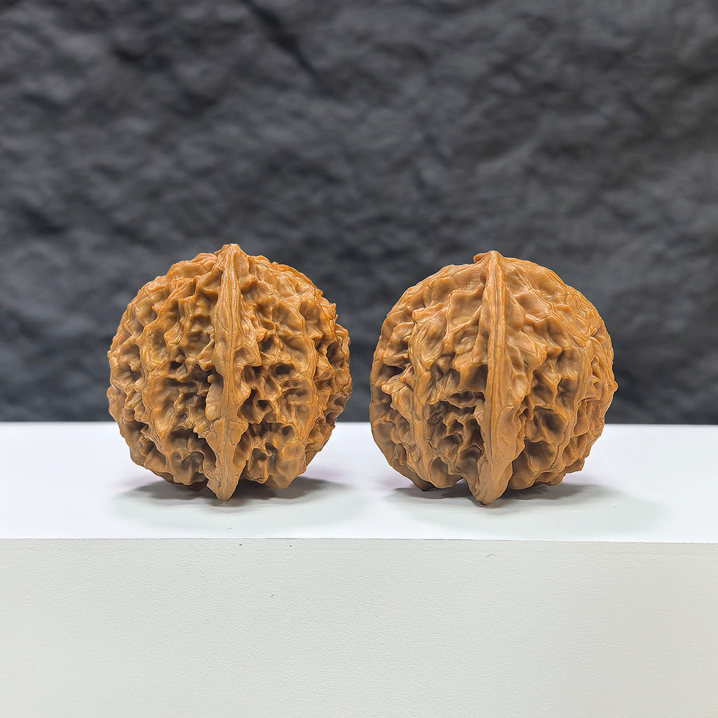 Pair of "Apple Garden" Wenwan walnuts from Wenwan Art, 36mm size, showcasing detailed natural walnut carvings.