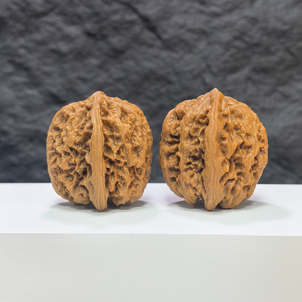 Pair of North China General Shoulder Crippled Foot Wenwan Walnuts from Wenwan Art, 39mm x 40mm, featuring unique natural walnut shapes.