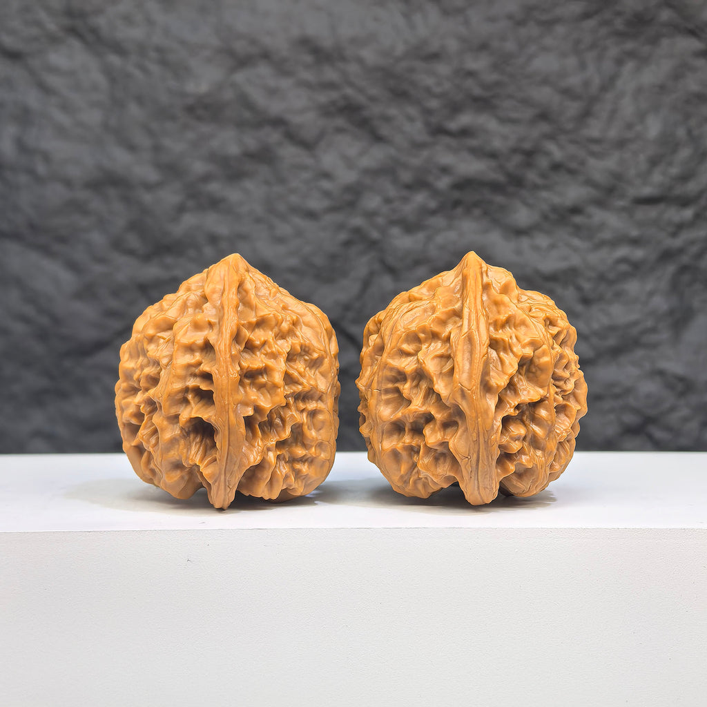 Selected grade Wild Bison Walnut, Wenwan Art Wenwan walnut for craftsmanship and collectible display, measuring 3.8×3.7cm.