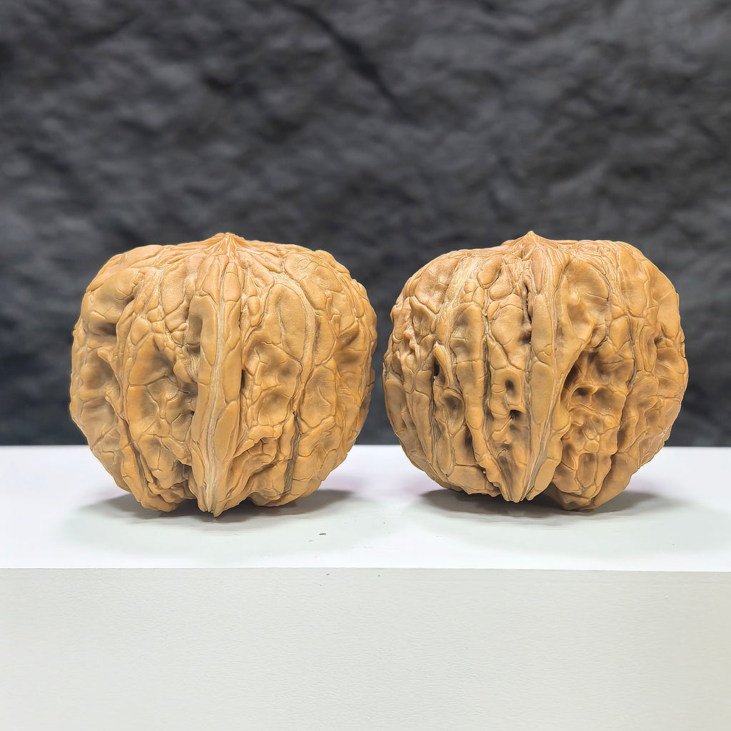 Pair of Classic Scholar Wenwan Walnuts from Wenwan Art, hand-matched, 44x46mm, showcasing detailed natural walnut surface.