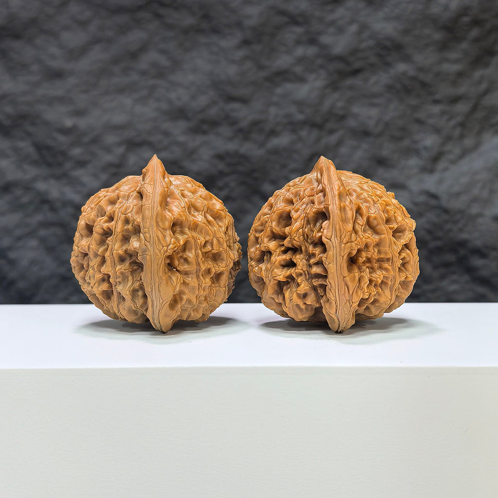 【收藏級】水龍紋 文玩核桃 (3.9 × 4.1cm) | [Collector's Grade] Water Dragon Texture Walnut (3.9 × 4.1cm) - SKU: SLW-1C2