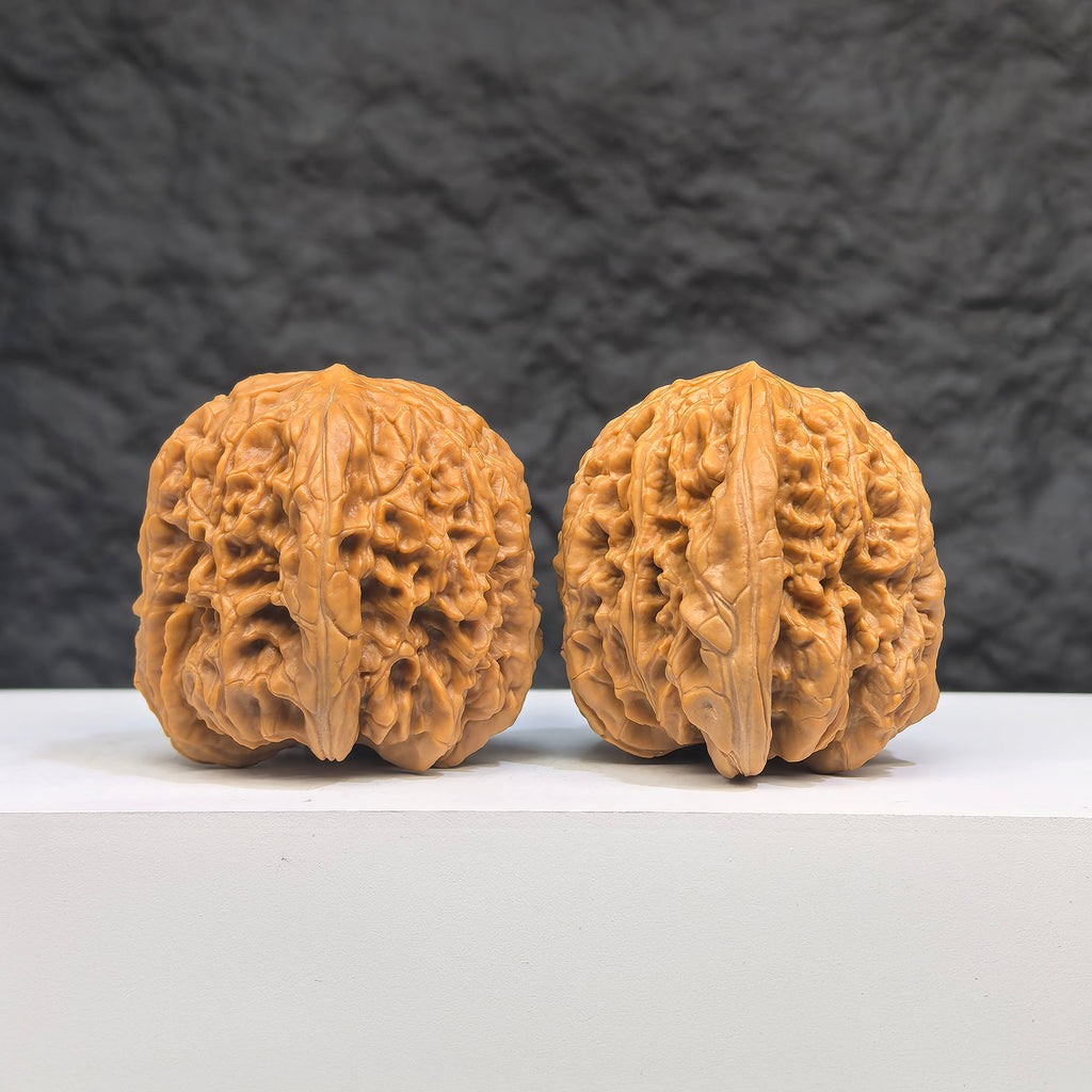 Selected grade Blizzard Wenwan Walnut with smooth surface and natural grain, measuring 3.8 × 3.9cm, from Wenwan Art.