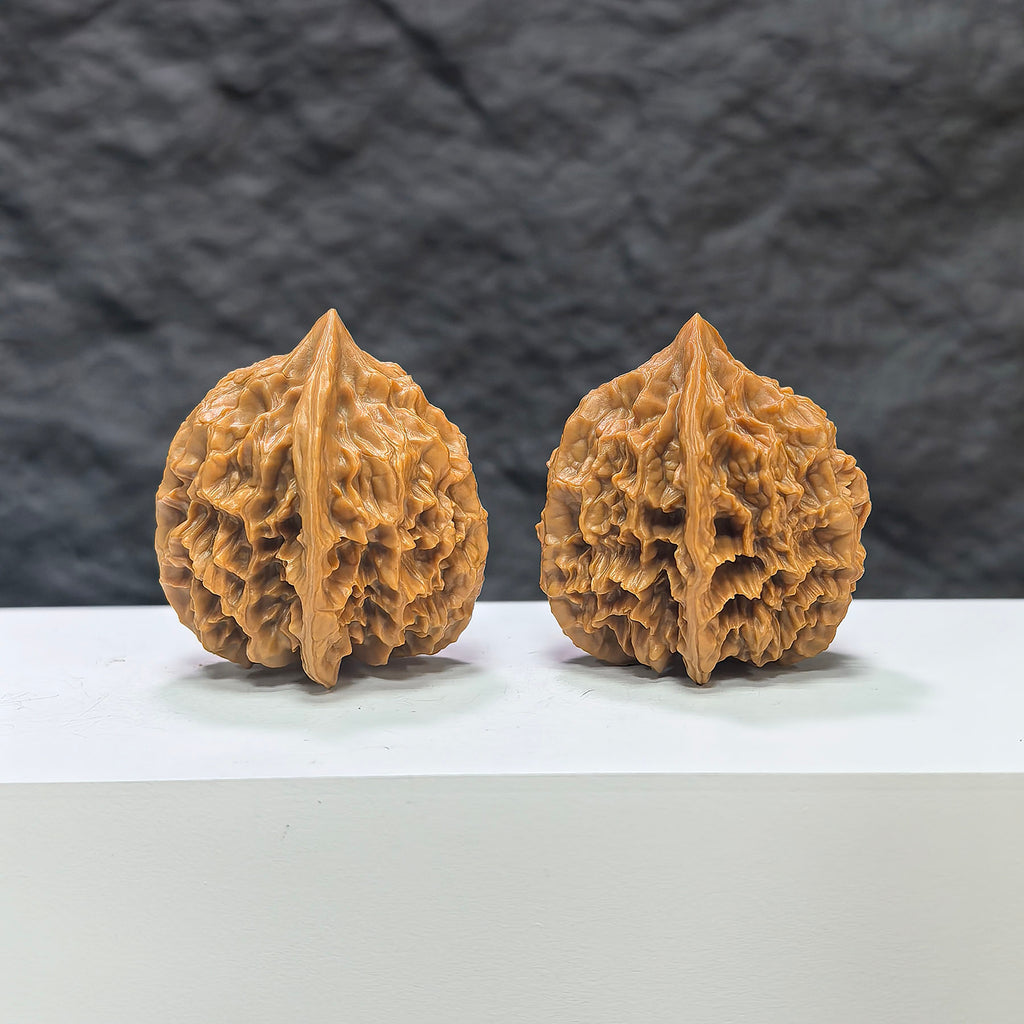 Pair of Dragon Scale Wenwan Walnuts by Wenwan Art, 36mm each, featuring intricate natural carvings and detailed textures.
