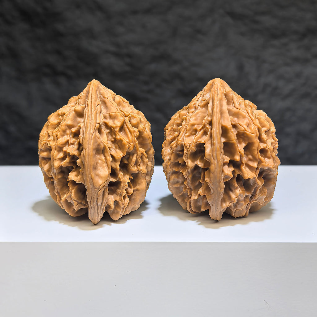 Pair of Tongtian Eight Wenwan walnuts from Wenwan Art, 40mm x 37mm, showcasing detailed walnut carvings and smooth polished surfaces.