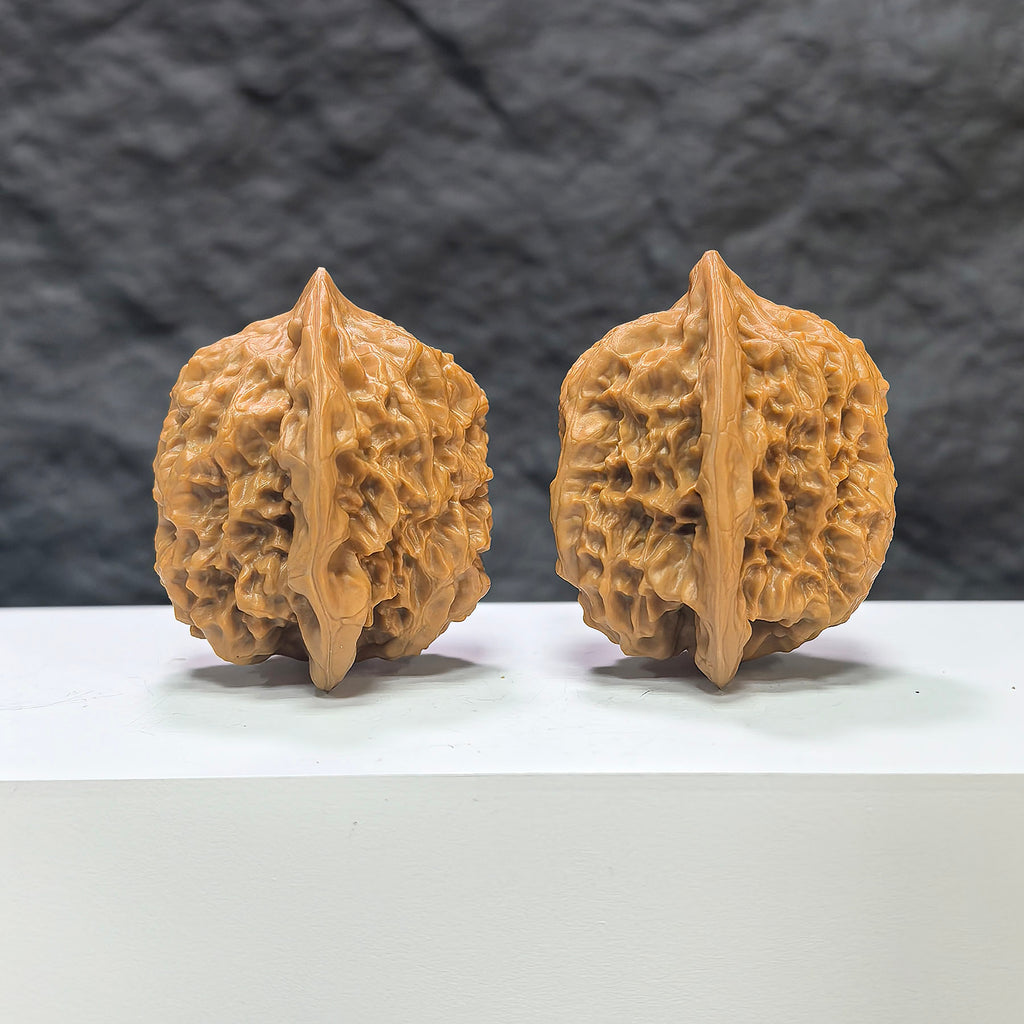 Pair of Arhat Head Wenwan walnuts from Wenwan Art, round-profile with 41mm and 38mm dimensions, showcasing detailed natural wood grain.