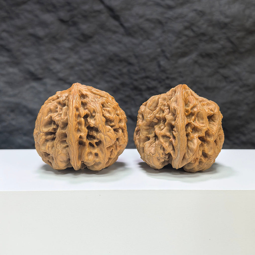 【精選級】大粗筋 文玩核桃 (4.6 × 4.6cm) | [Selected Grade] Large Thick Rib Walnut (4.6 × 4.6cm) - SKU: DCJ-1S9